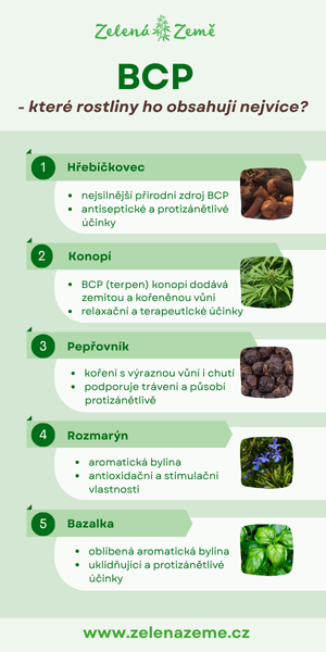 BCP infografika